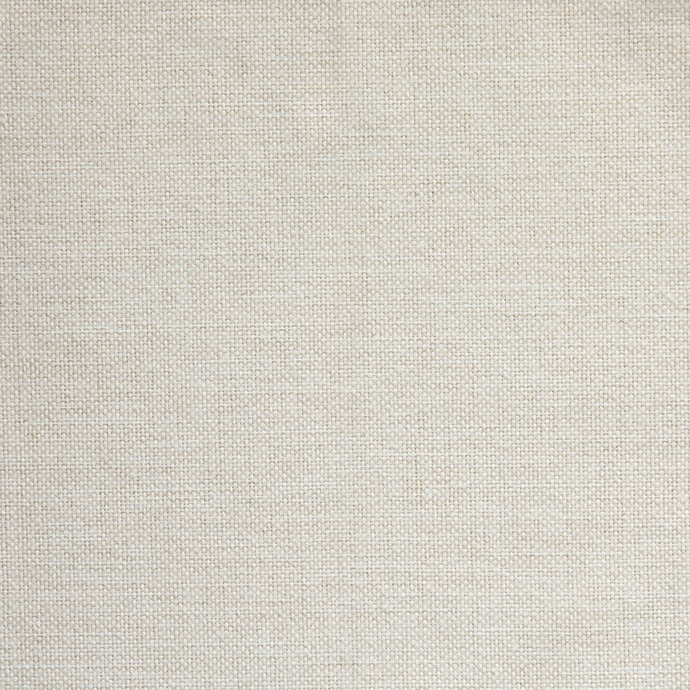 Amuse/white