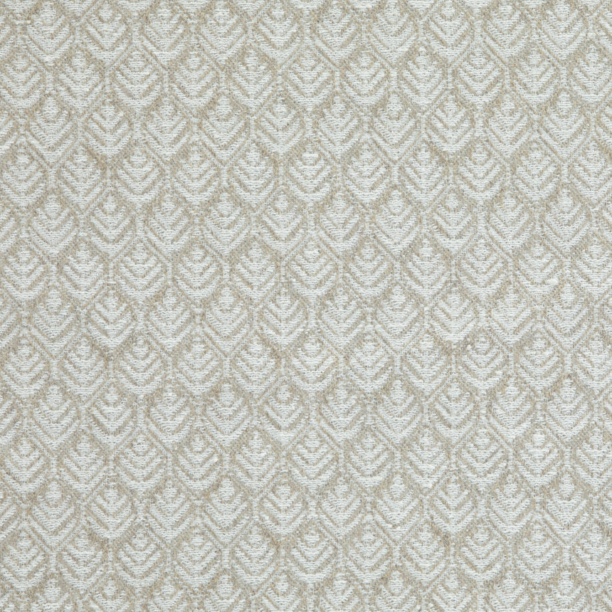 Noah Taupe