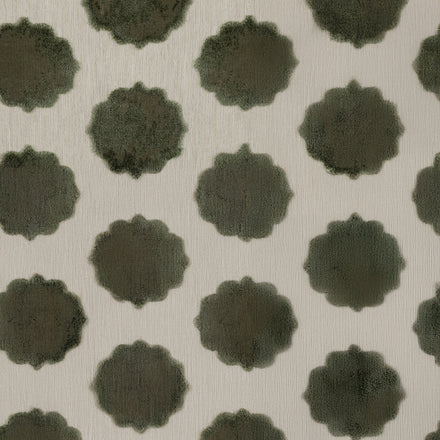 image_acd4vrpead0lt001nnl77g8j1l