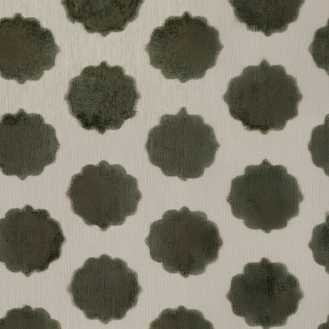 image_acd4vrpead0lt001nnl77g8j1l