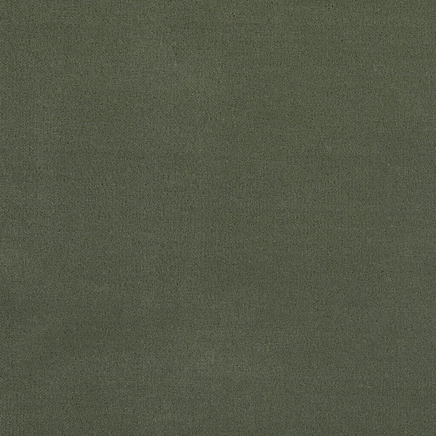 Merino Moss