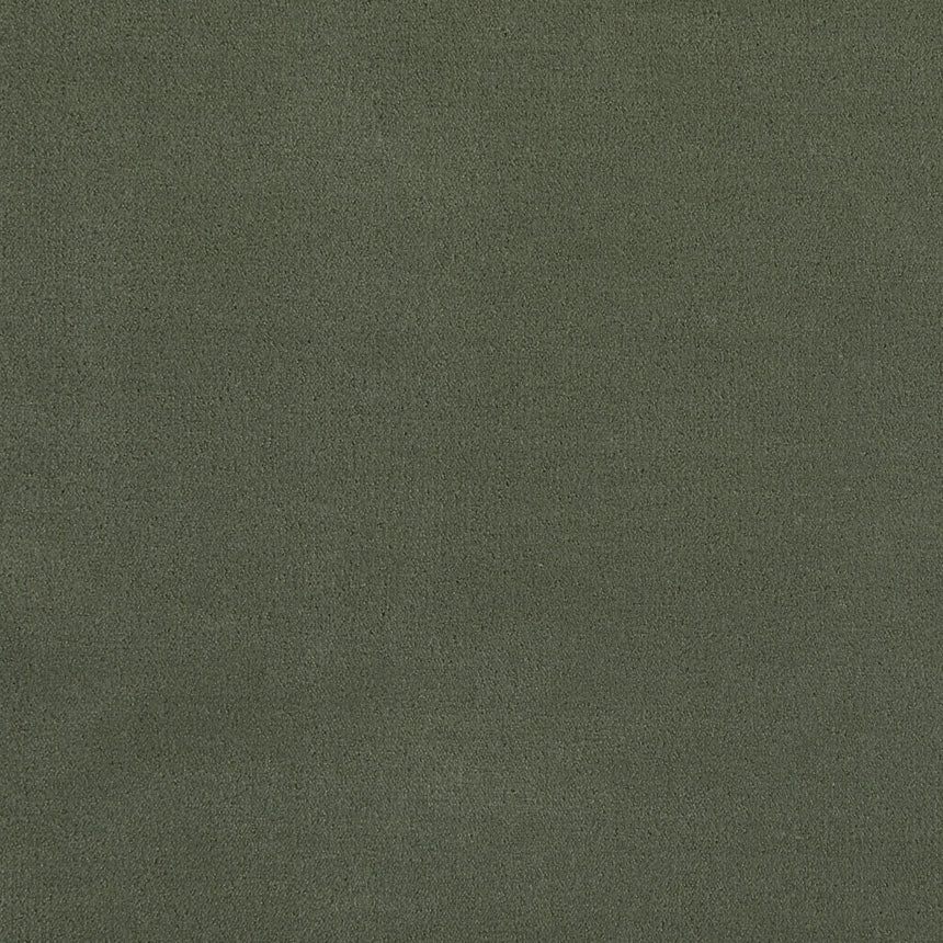 Merino Moss