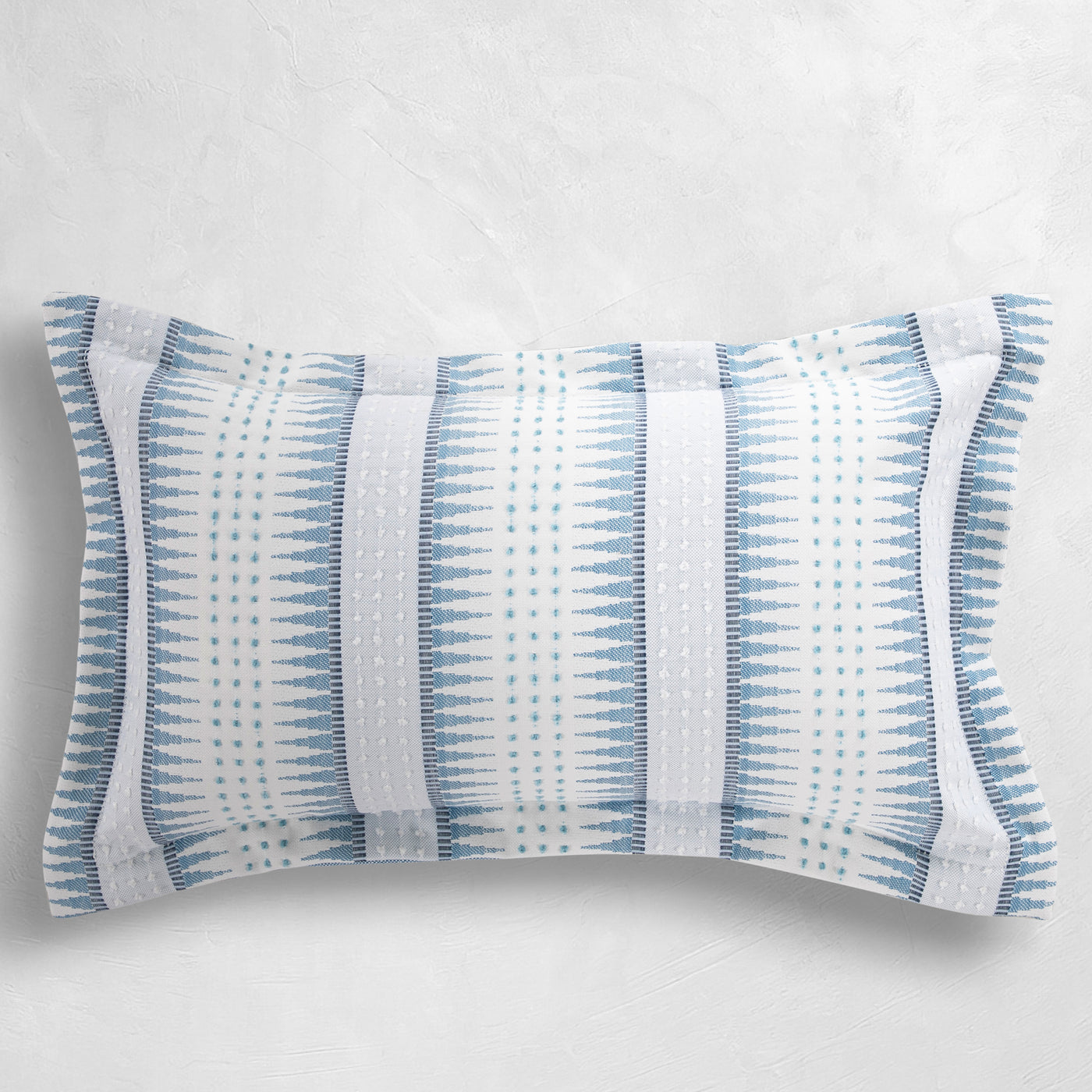 blue-wj-100527