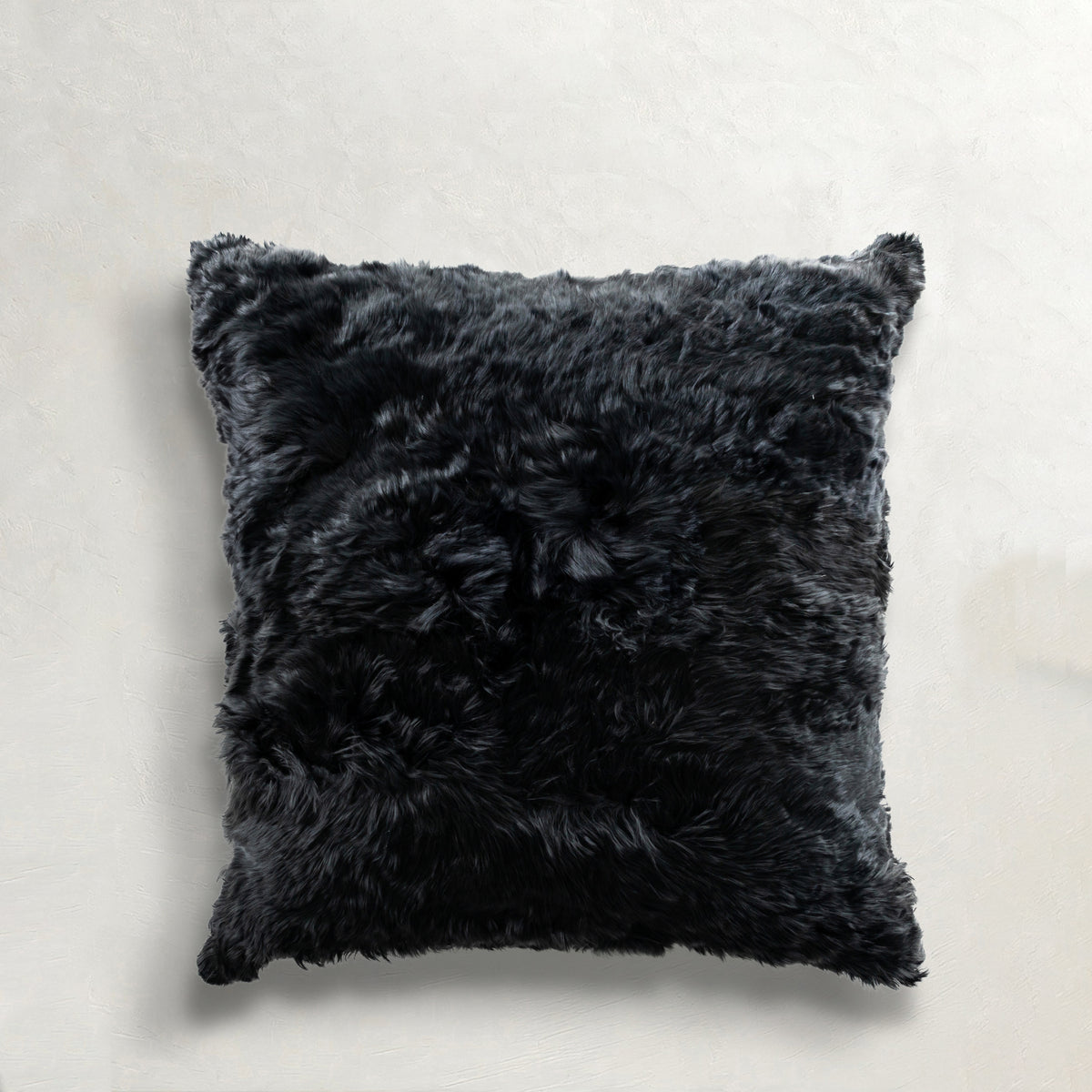 midnight-wj-100013