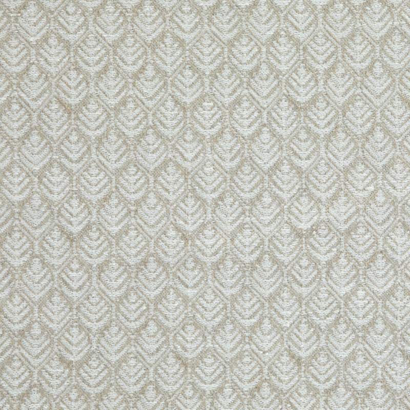 Noah Taupe