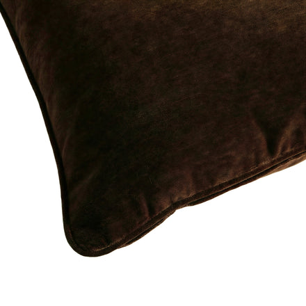 chocolate-wj-100591