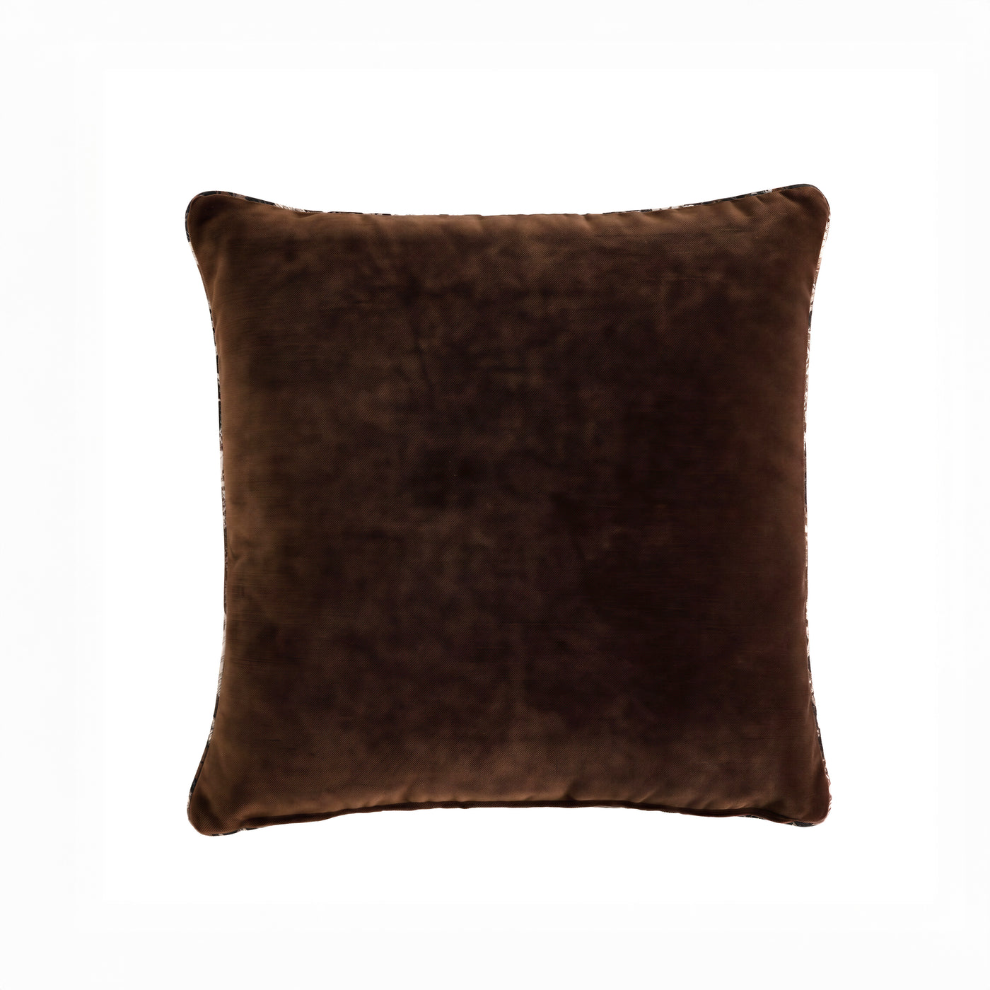 chocolate-wj-100572