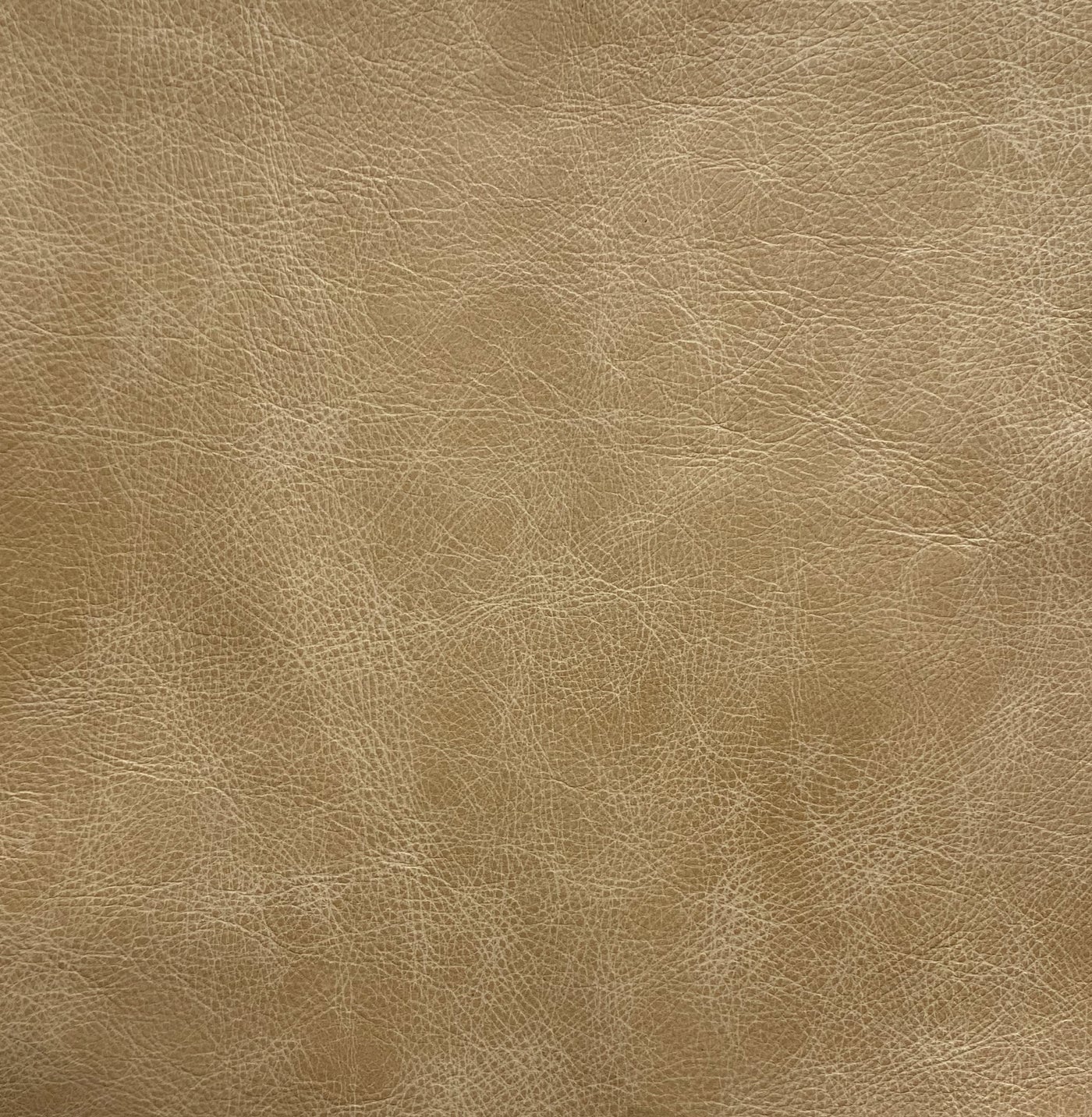 Highlands Parchment