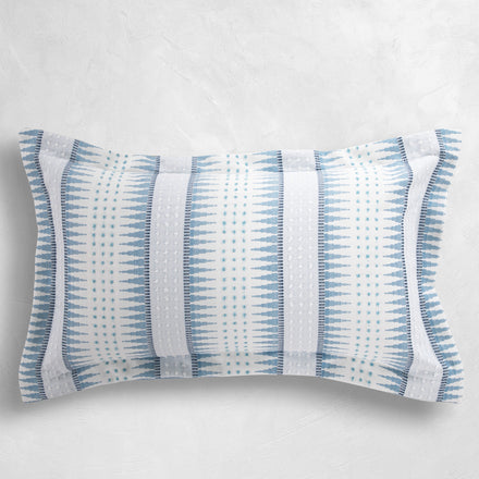 blue-wj-100527