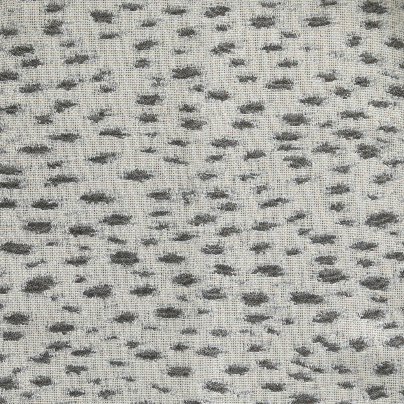 Snow Leopard Dove