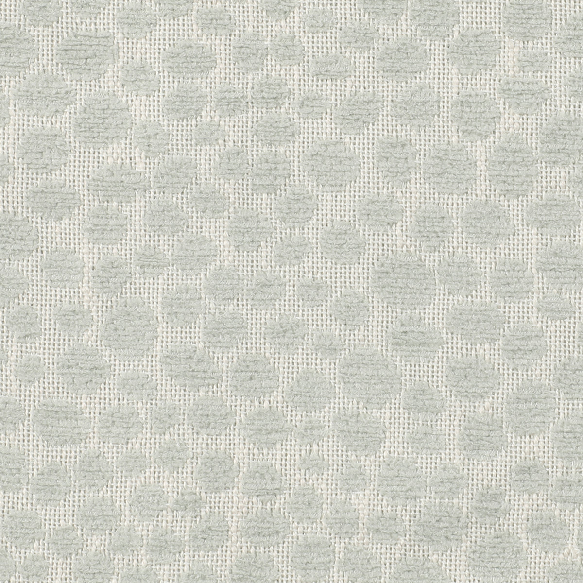 Cheetah Mist