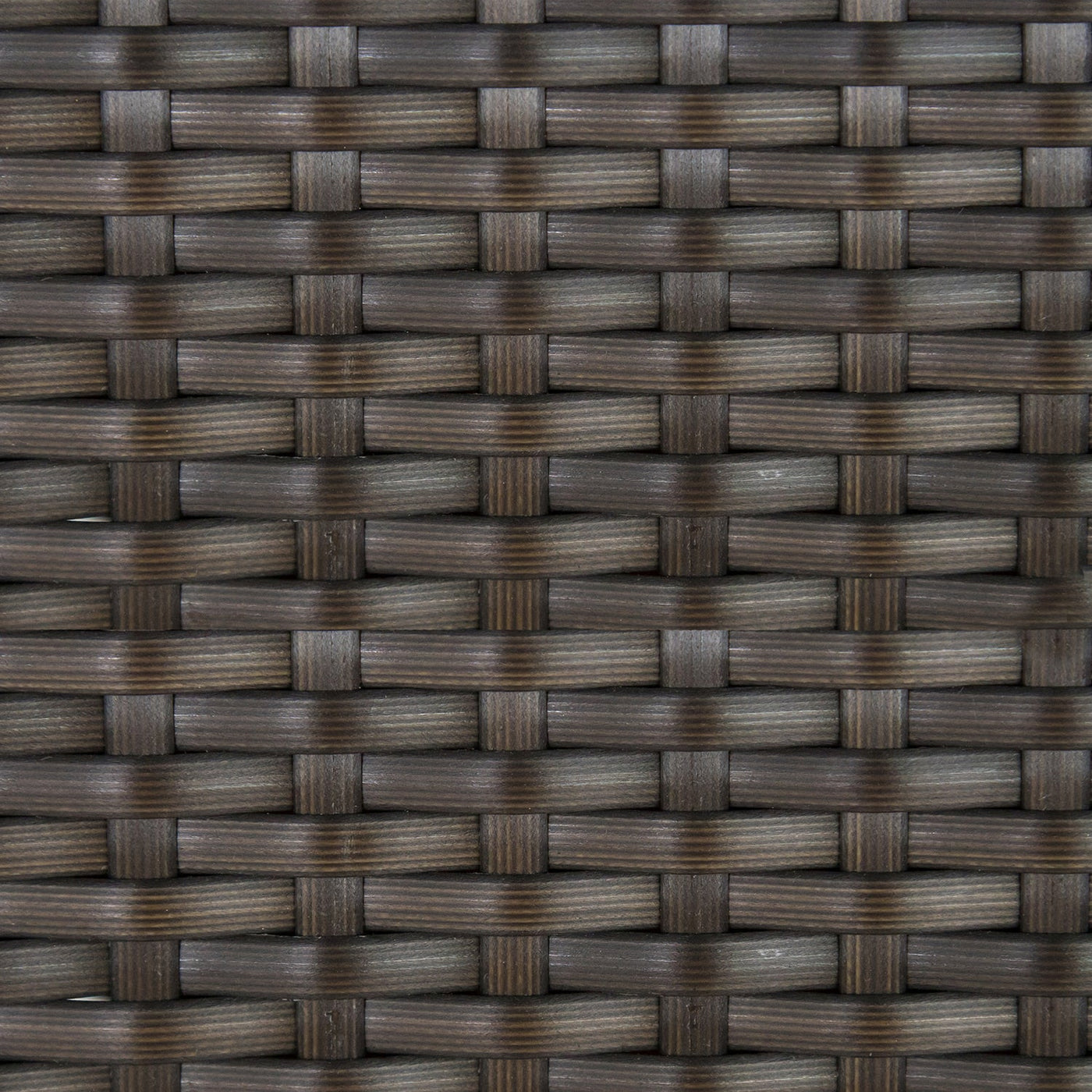 Black Walnut