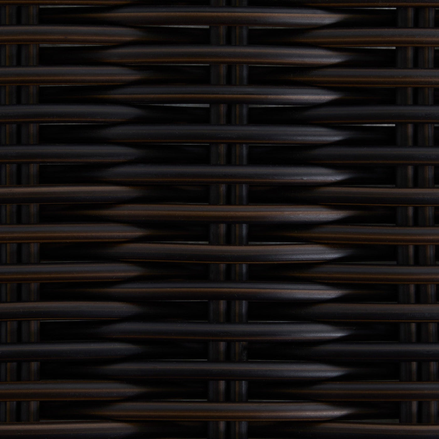 Black Walnut