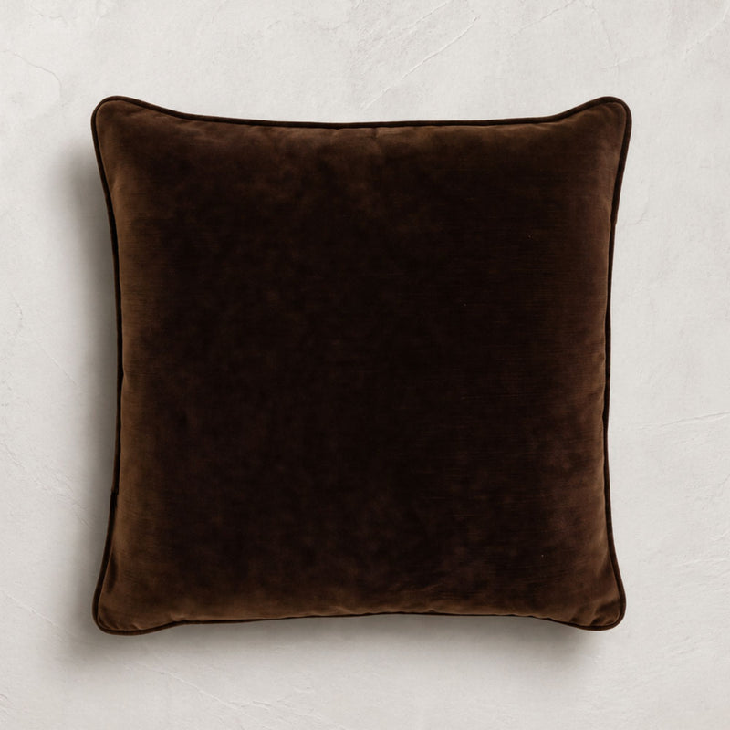 Plush Indoor Throw Pillow